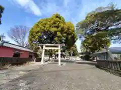 日吉浅間神社(静岡県)