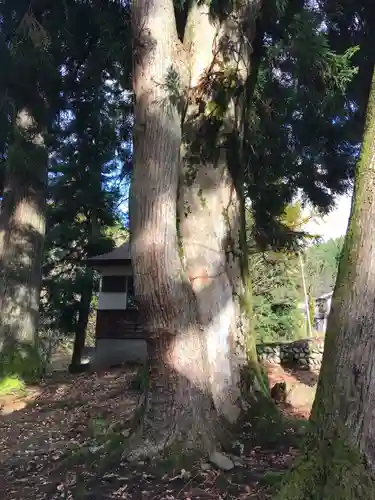 巣守神社の自然