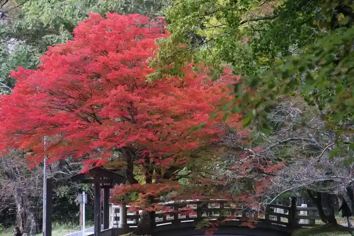 土津神社|こどもと出世の神さまの自然