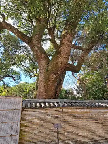 石清水八幡宮(京都府)