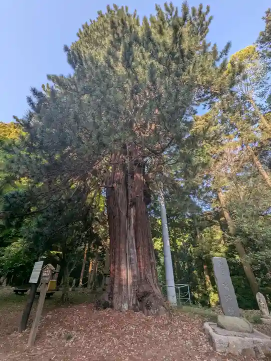 西明寺(栃木県)