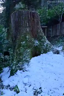 貴船神社結社(京都府)