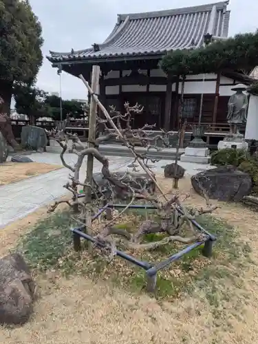 善仁寺(東京都)