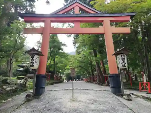 日吉大社の鳥居