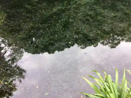 富士山本宮浅間大社(静岡県)