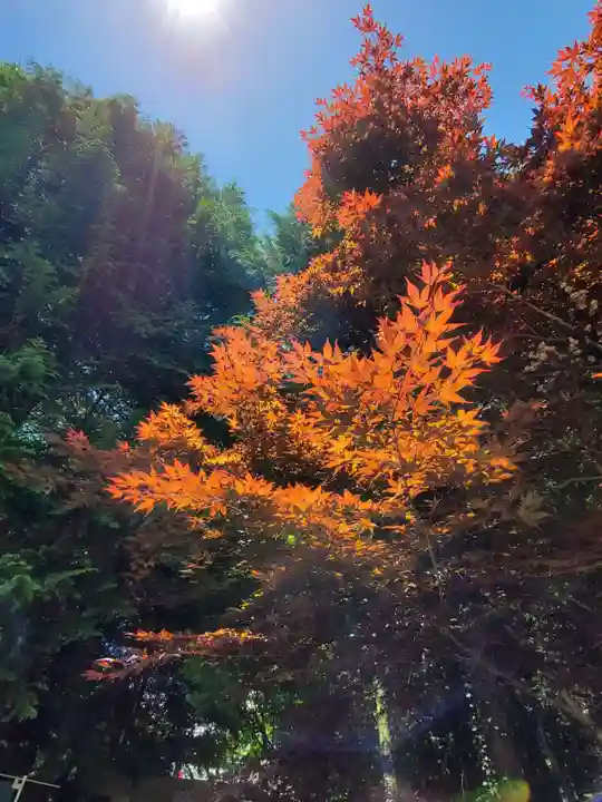 滑川神社 - 仕事と子どもの守り神の自然