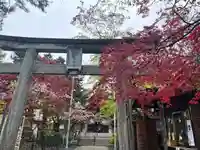 彌彦神社 (伊夜日子神社)の鳥居