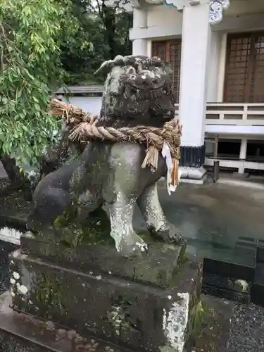 武雄神社の狛犬