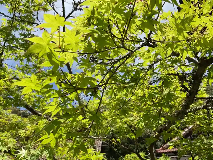 雲興寺(愛知県)