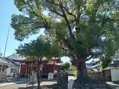 深江稲荷神社(大阪府)