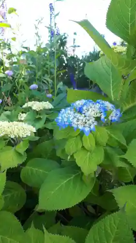 極楽山　浄土寺の自然