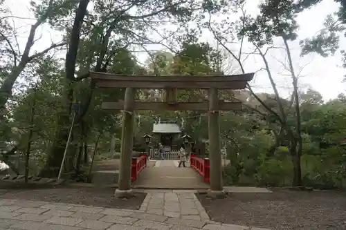 武蔵一宮氷川神社の鳥居