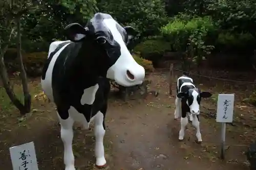 善光寺の狛犬