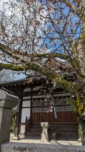 本満寺（本願満足寺）(京都府)