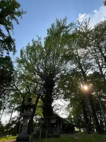鞆江神社（明地）(愛知県)