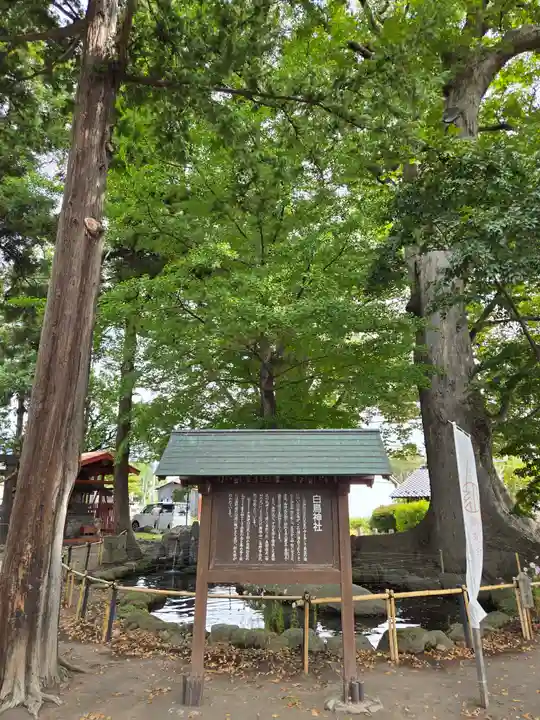 白鳥神社(長野県)