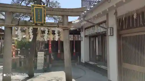 市比賣神社の鳥居