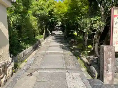 高台寺（高台寿聖禅寺・高臺寺）(京都府)