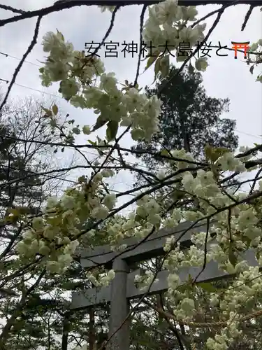 修那羅山安宮神社(長野県)