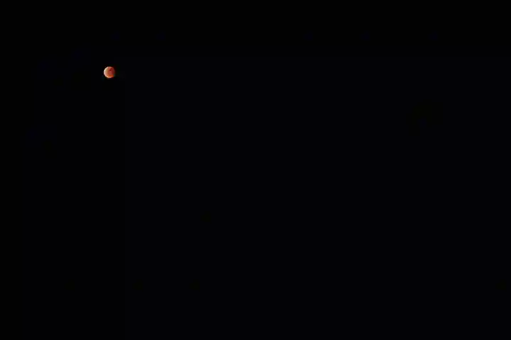 くまくま神社(導きの社 熊野町熊野神社)の自然