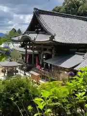 岡寺（龍蓋寺）(奈良県)