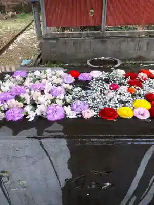 前玉神社の手水舎