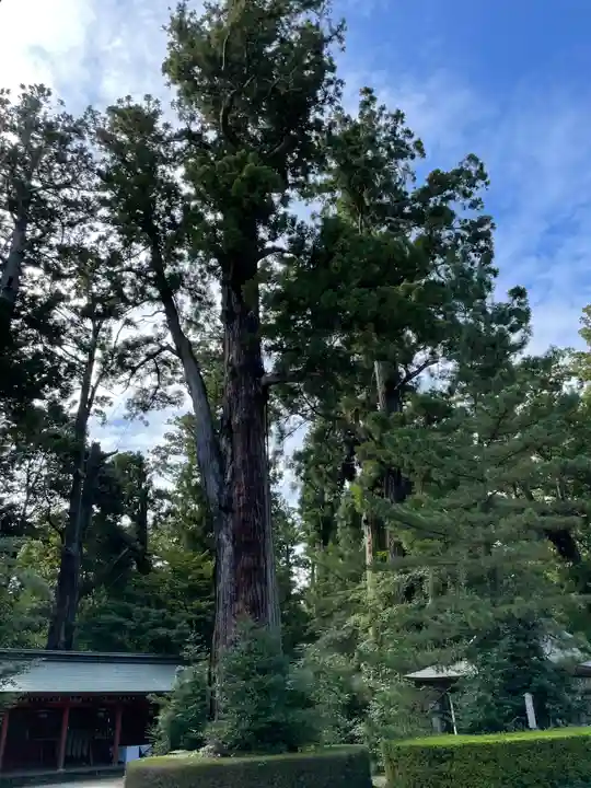 香取神宮(千葉県)