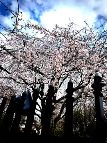芳林寺(埼玉県)