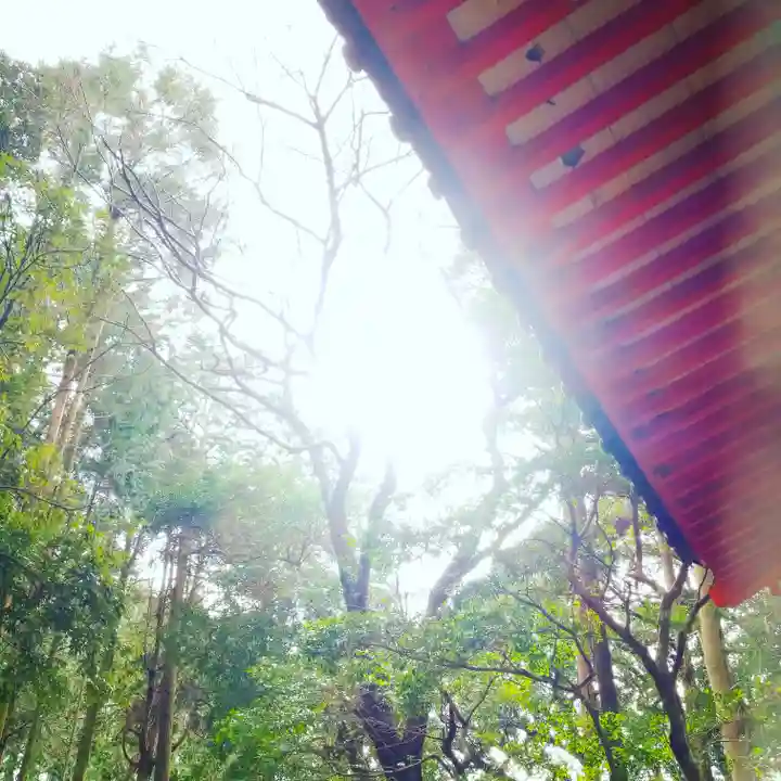 戸隠神社の自然