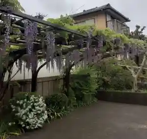 西方山極楽寺(岐阜県)(2025年04月23日(水) 23時03分44秒投稿)