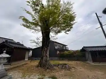 熊野神社(兵庫県)