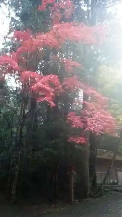 瀧原宮(皇大神宮別宮)(三重県)