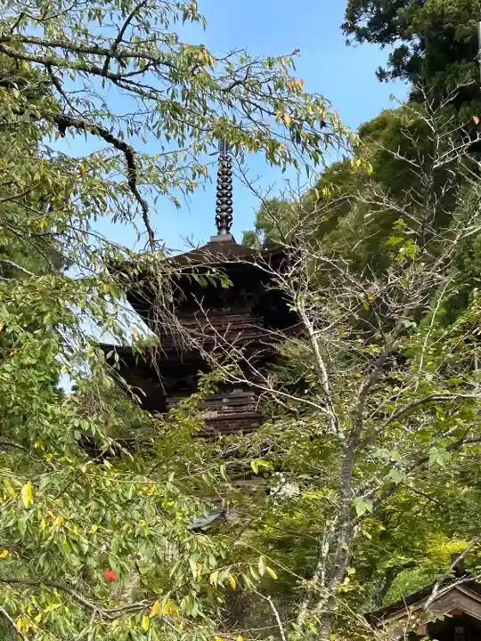 国宝 大法寺(長野県)