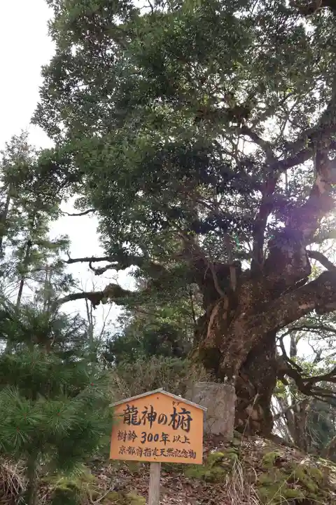 成相寺(京都府)