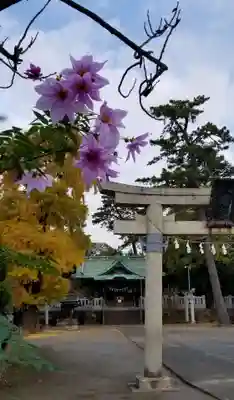 大曽根八幡神社(埼玉県)