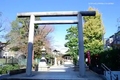 桜神宮の鳥居