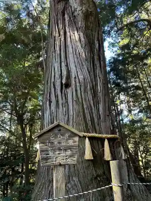 鷲子山上神社(栃木県)