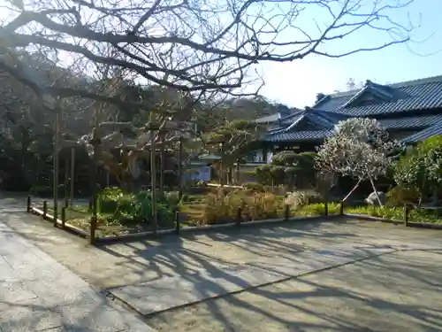 極楽寺（霊鷲山感應院極楽律寺）の景色