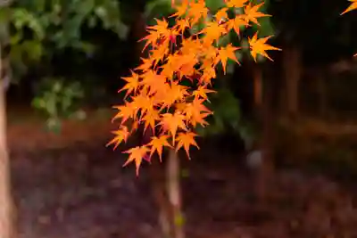 大原野神社(京都府)