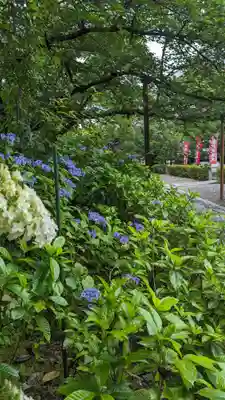 本法寺(京都府)