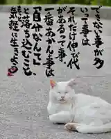 専念寺(大阪府)