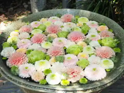 行田八幡神社(埼玉県)