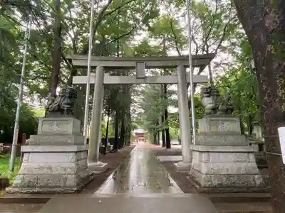 諏訪神社の鳥居