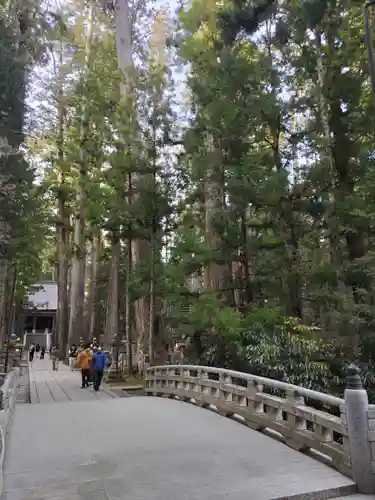 高野山金剛峯寺奥の院(和歌山県)