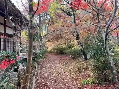 神藏寺(京都府)
