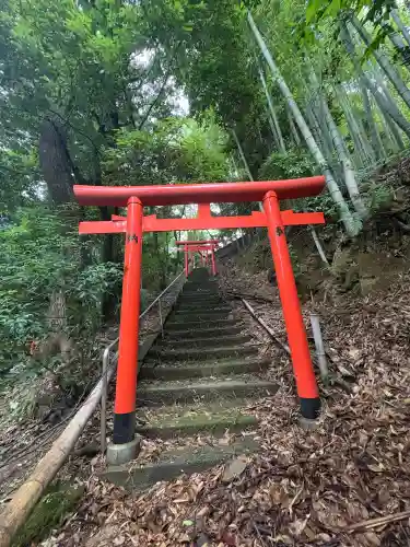 大學稲荷神社の鳥居