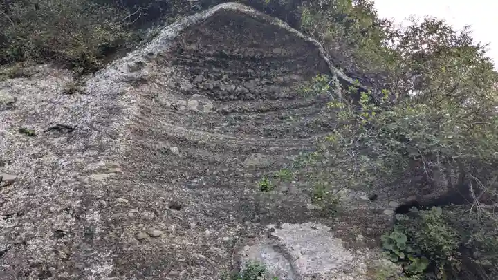 諏訪神社の自然