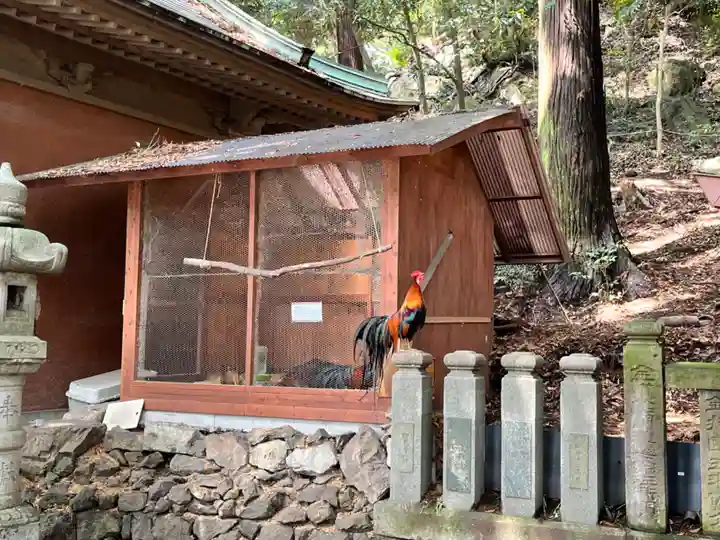 大甕神社(茨城県)