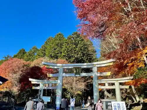 三峯神社の鳥居