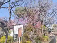 白山神社(東京都)